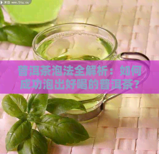 普洱茶泡法全解析：如何成功泡出好喝的普洱茶？