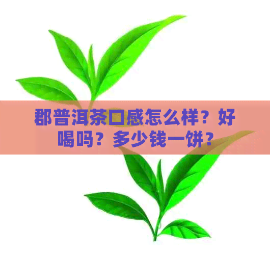 郡普洱茶口感怎么样？好喝吗？多少钱一饼？