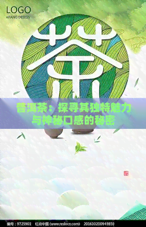 普洱茶：探寻其独特魅力与神秘口感的秘密