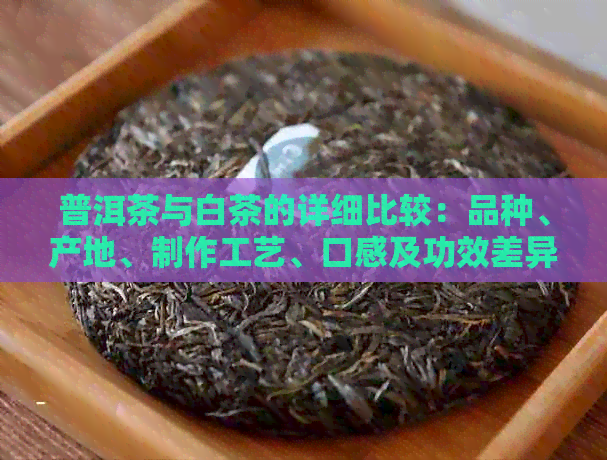 普洱茶与白茶的详细比较：品种、产地、制作工艺、口感及功效差异解析