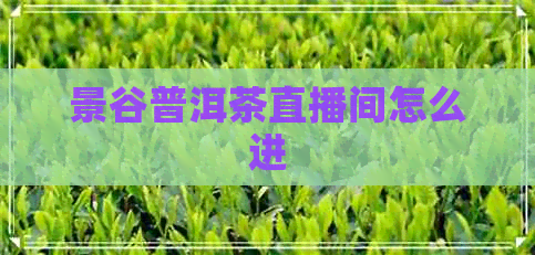 景谷普洱茶直播间怎么进