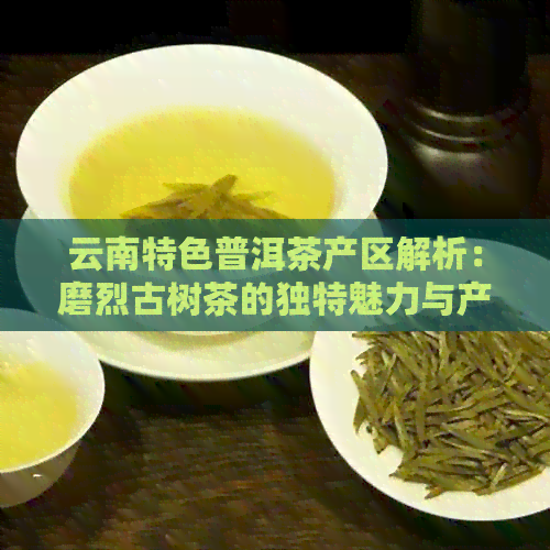 云南特色普洱茶产区解析：磨烈古树茶的独特魅力与产地特点