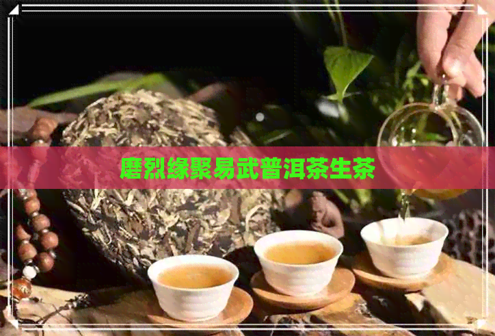 磨烈缘聚易武普洱茶生茶