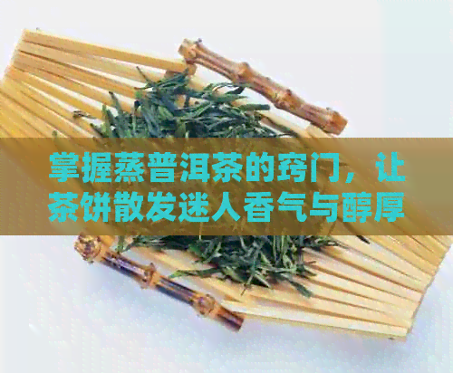 掌握蒸普洱茶的窍门，让茶饼散发迷人香气与醇厚口感