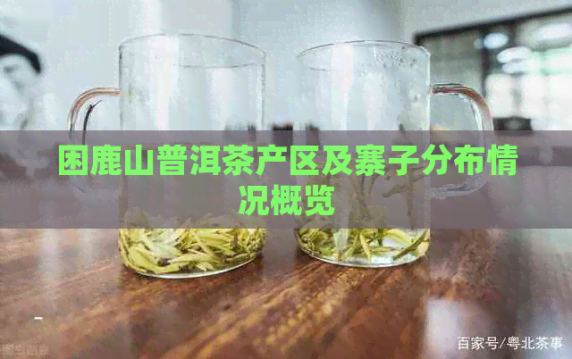 困鹿山普洱茶产区及寨子分布情况概览