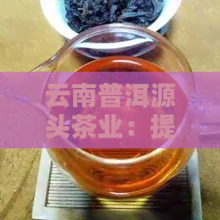 云南普洱源头茶业：提供优质普洱茶及茶叶加工服务的领军企业