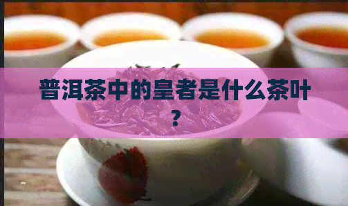 普洱茶中的皇者是什么茶叶？