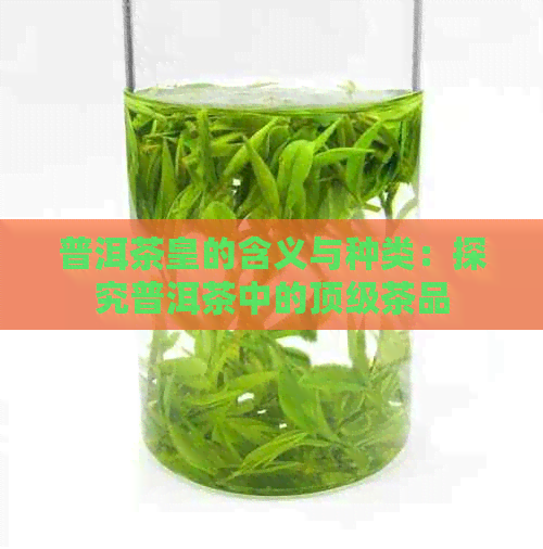 普洱茶皇的含义与种类：探究普洱茶中的顶级茶品