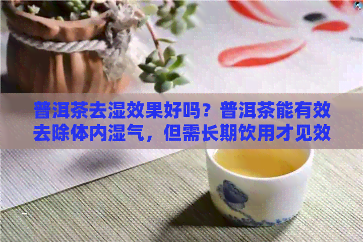 普洱茶去湿效果好吗？普洱茶能有效去除体内湿气，但需长期饮用才见效。