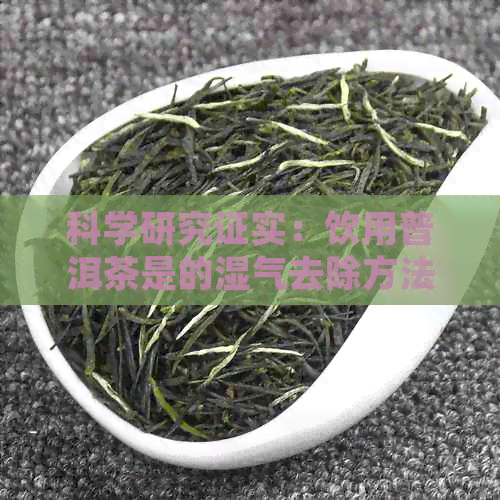 科学研究证实：饮用普洱茶是的湿气去除方法