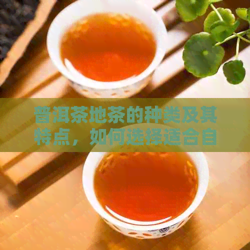 普洱茶地茶的种类及其特点，如何选择适合自己口味的普洱茶？