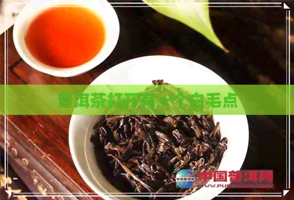 普洱茶打开有一个白毛点