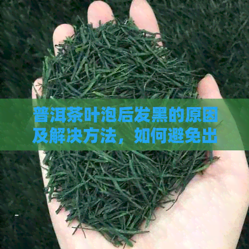 普洱茶叶泡后发黑的原因及解决方法，如何避免出现这种情况？