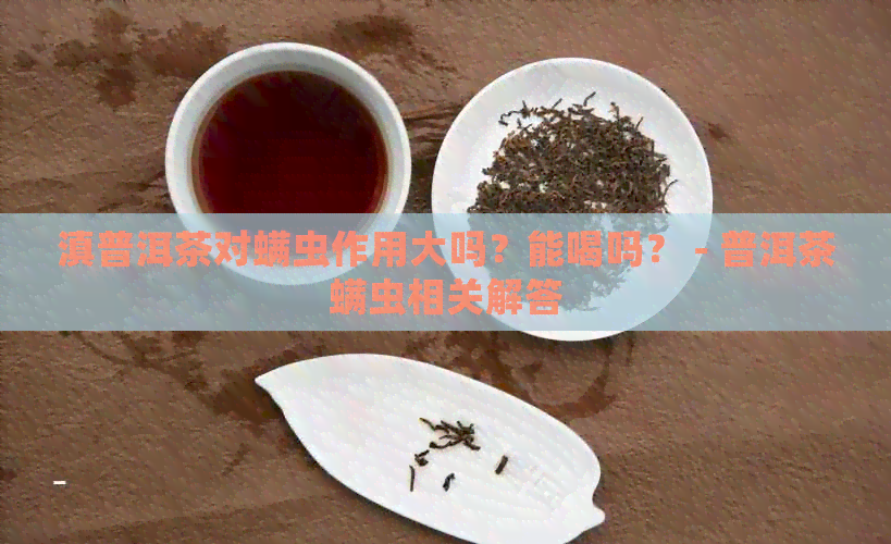 滇普洱茶对螨虫作用大吗？能喝吗？ - 普洱茶螨虫相关解答