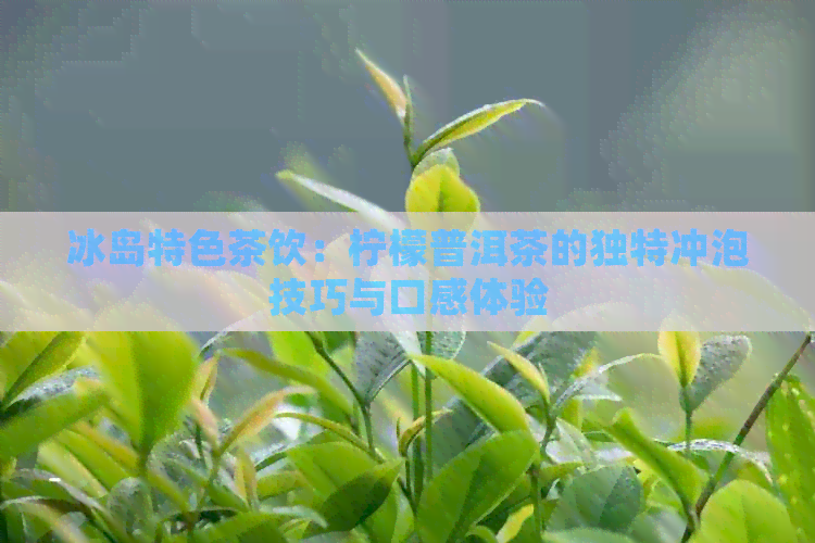 冰岛特色茶饮：柠檬普洱茶的独特冲泡技巧与口感体验