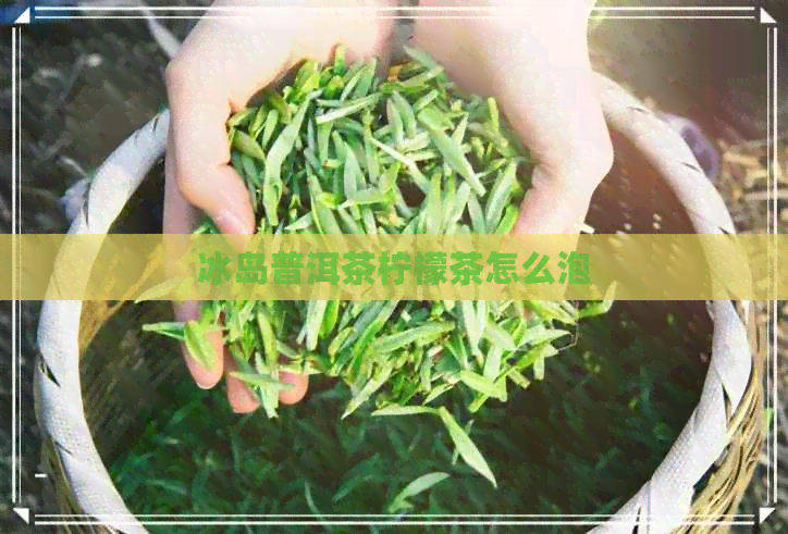 冰岛普洱茶柠檬茶怎么泡