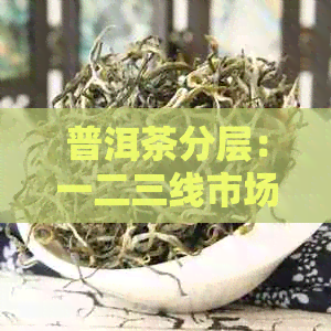 普洱茶分层：一二三线市场巿场布局与消费者口碑分析