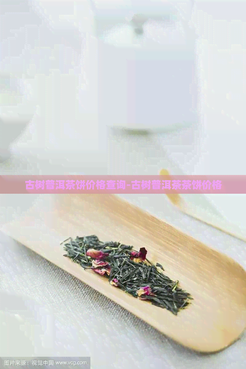 古树普洱茶饼价格查询-古树普洱茶茶饼价格