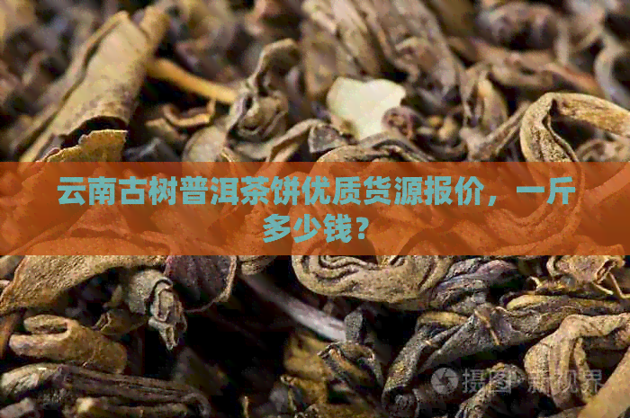 云南古树普洱茶饼优质货源报价，一斤多少钱？