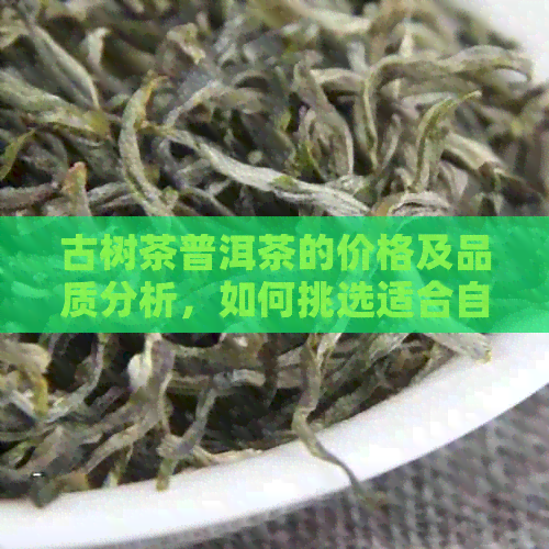 古树茶普洱茶的价格及品质分析，如何挑选适合自己的茶叶？