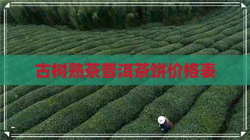 古树熟茶普洱茶饼价格表