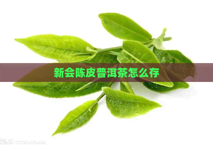 新会陈皮普洱茶怎么存