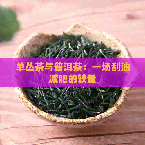 单丛茶与普洱茶：一场刮油减肥的较量