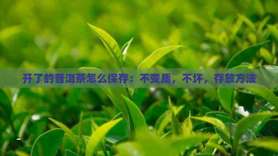 开了的普洱茶怎么保存：不变质，不坏，存放方法