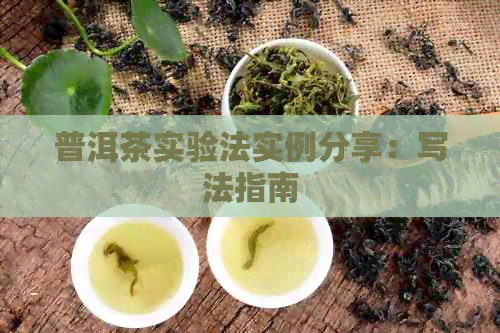 普洱茶实验法实例分享：写法指南