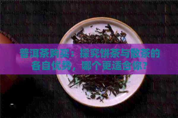 普洱茶购买：探究饼茶与散茶的各自优势，哪个更适合你？