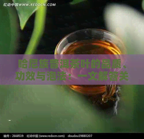 哈尼族普洱茶叶的品质、功效与泡法：一文解答关于普洱茶的所有疑问