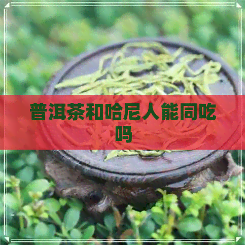 普洱茶和哈尼人能同吃吗