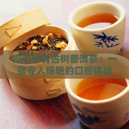 探索叶青古树普洱茶：一款令人惊艳的口感体验