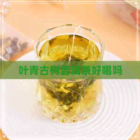 叶青古树普洱茶好喝吗