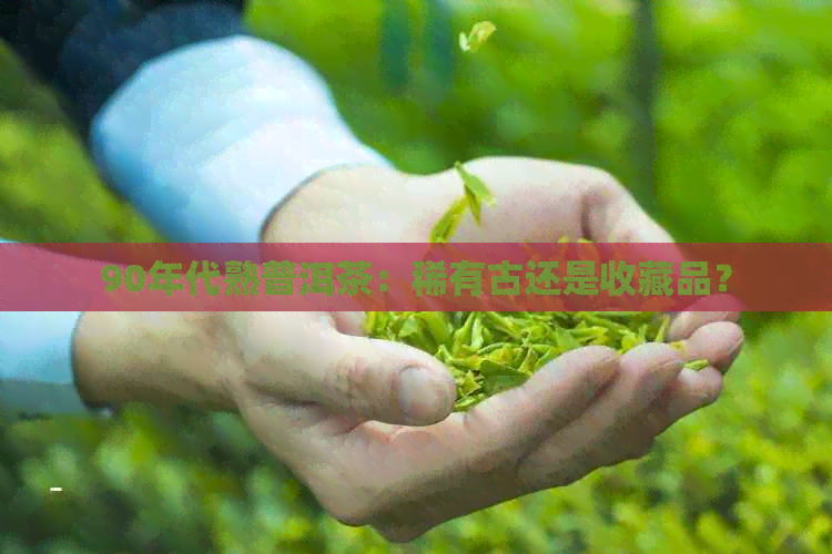 90年代熟普洱茶：稀有古还是收藏品？