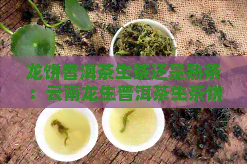 龙饼普洱茶生茶还是熟茶：云南龙生普洱茶生茶饼的对比品鉴