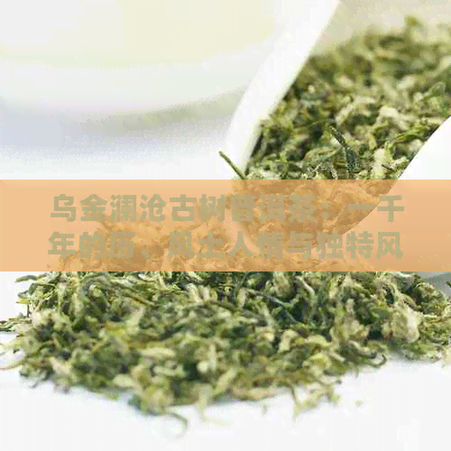 乌金澜沧古树普洱茶：一千年的历、风土人情与独特风味的探索