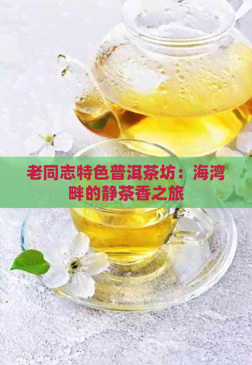 老同志特色普洱茶坊：海湾畔的静茶香之旅