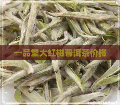 一品堂大红柑普洱茶价格