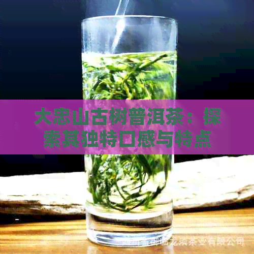 大忠山古树普洱茶：探索其独特口感与特点