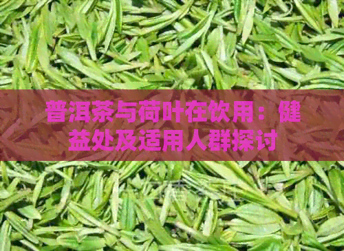 普洱茶与荷叶在饮用：健益处及适用人群探讨