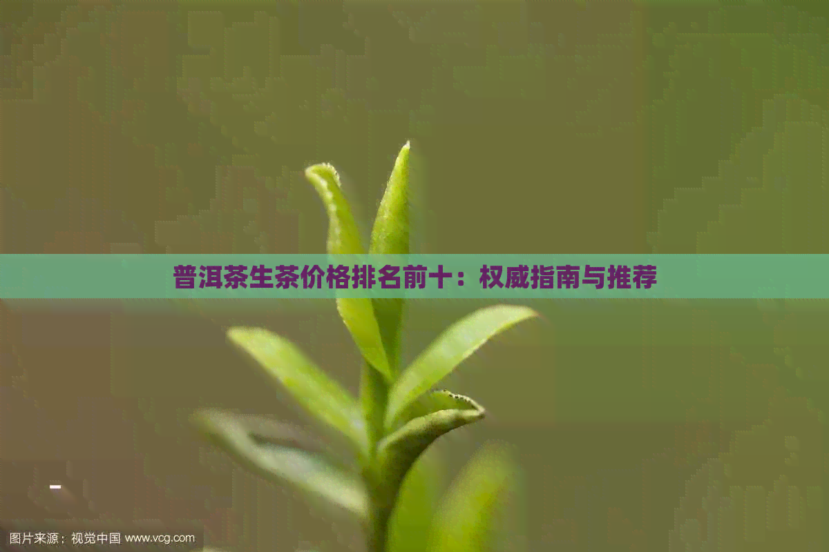 普洱茶生茶价格排名前十：权威指南与推荐