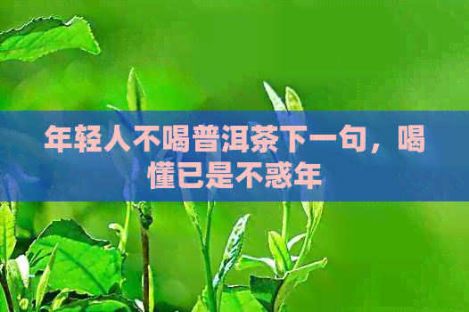 年轻人不喝普洱茶下一句，喝懂已是不惑年