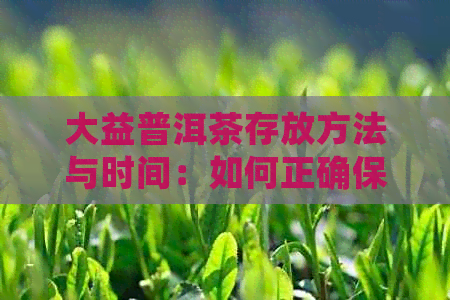 大益普洱茶存放方法与时间：如何正确保存普洱茶？