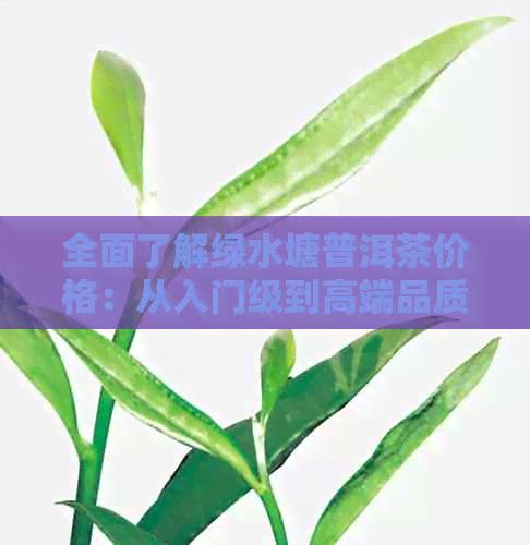 全面了解绿水塘普洱茶价格：从入门级到高端品质的详细指南