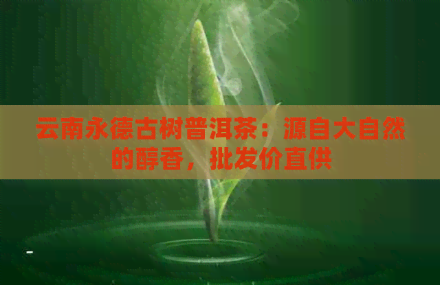 云南永德古树普洱茶：源自大自然的醇香，批发价直供