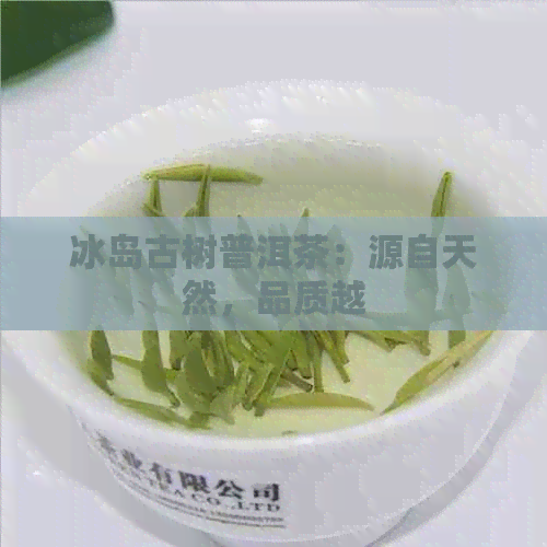 冰岛古树普洱茶：源自天然，品质越