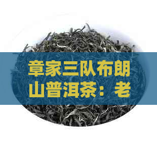 章家三队布朗山普洱茶：老同志的品质之选，批发价格