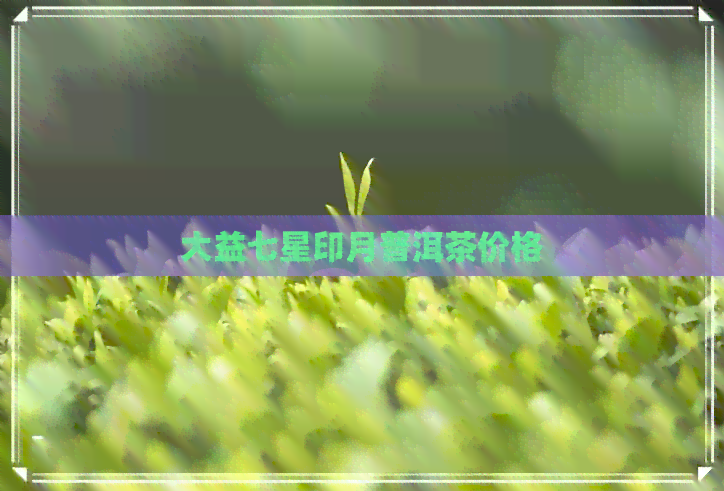 大益七星印月普洱茶价格