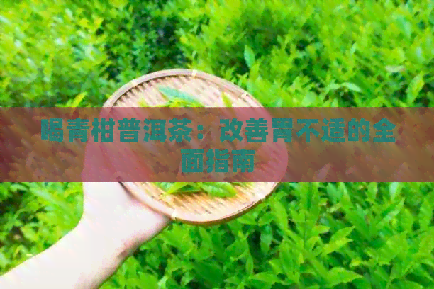 喝青柑普洱茶：改善胃不适的全面指南